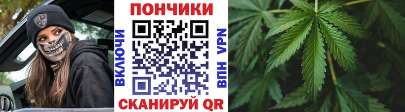 наркошоп  площадка какой сайт  МАРИХУАНА Ganja  Сосновка 